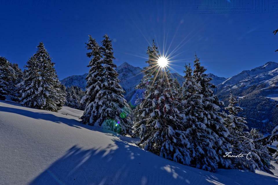 Casa Dello Sciatore Bormio Dış mekan fotoğraf